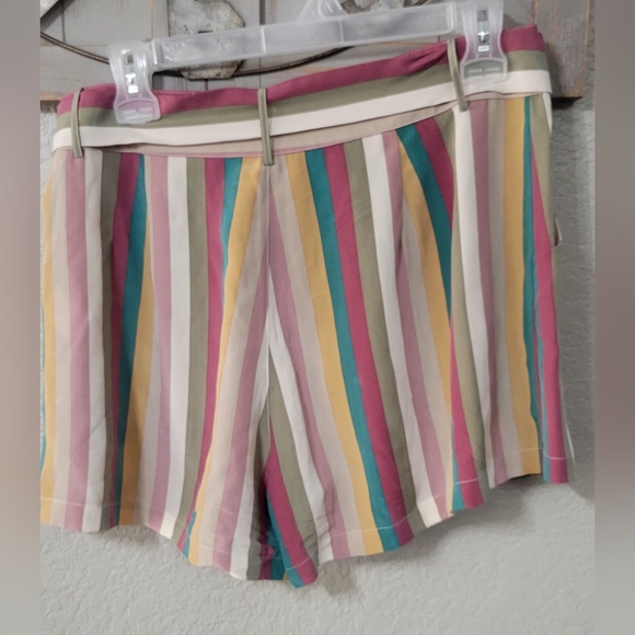 RAILS Gigi Farrah Stripe Belted 100%  Silk Shorts Size M - Picture 5 of 15